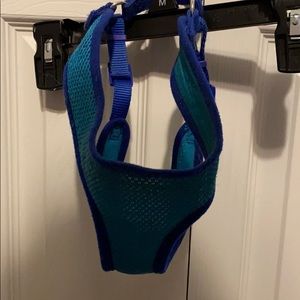 Blue small dog harness